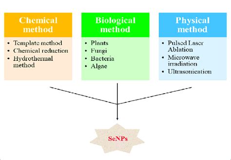 Various Routes For The Synthesis Of Senps [created Based On Chhabria