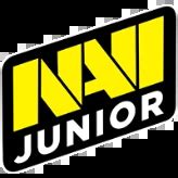 Natus Vincere Junior OG коэффициенты ставки и прогноз на матч 18 01