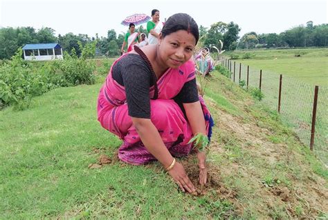 Hppi Launches Massive Tree Plantation Initiative Humana India