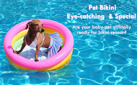 Amazon Conjunto de vestido de bikini para perro ropa de verano para perros pequeños y