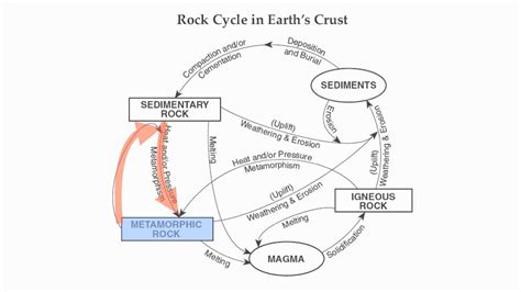 worksheet. Rock Cycle Diagram Worksheet. Grass Fedjp Worksheet Study Site