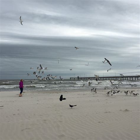 Photos at Whitecap Beach - Padre Island - Corpus Christi, TX