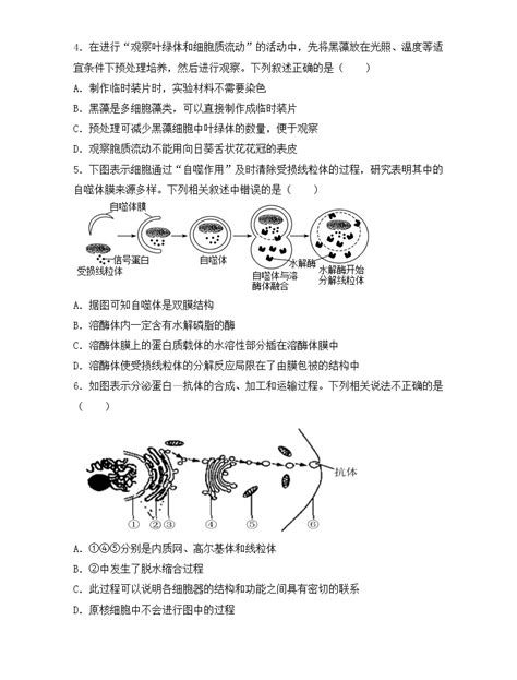 人教版 2019必修1《分子与细胞》第2节 细胞器之间的分工合作精品课件ppt 教习网课件下载