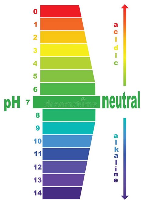 Escala Do Valor De PH Para Soluções ácidas E Alcalinas Ilustração do