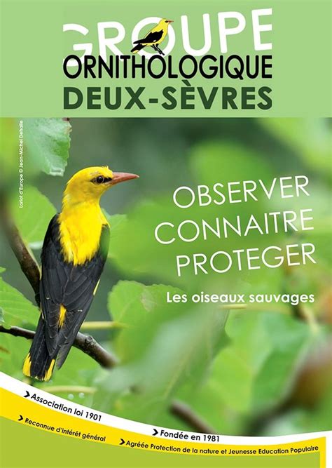 Groupe Ornithologique des Deux Sèvres GODS Deux Sèvres Tourisme