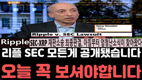 리플전망 리플 Xrp Sec 재판소송 최종판결전 모든게 공개됐습니다 설마 오늘 오늘 영상은 꼭 보셔야합니다 리플전망