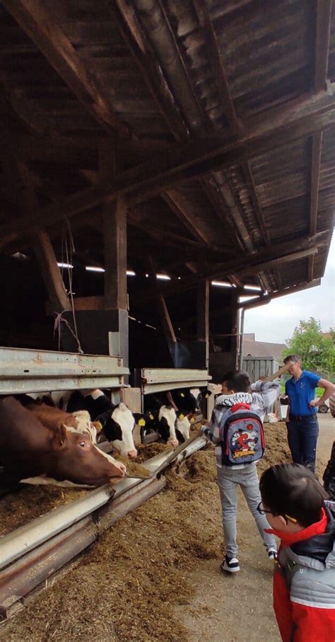 Milch Grundschule Sandbach