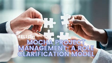 MOCHA Project Management: A Role Clarification Model