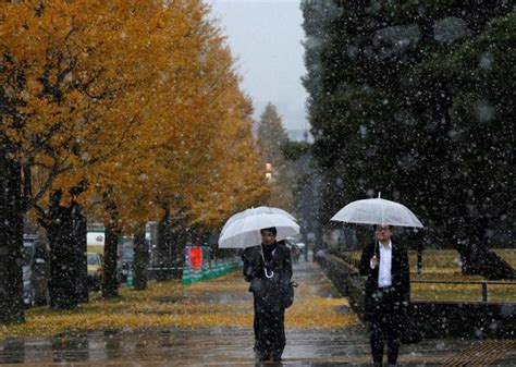 Tokyo sees first snowfall in November in 54 years - IBTimes India