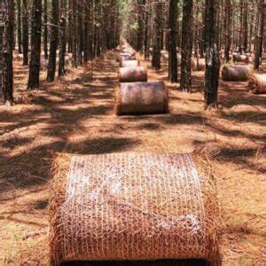 Pine Straw Bales in Tyler, TX | All Natural Stone & Grass