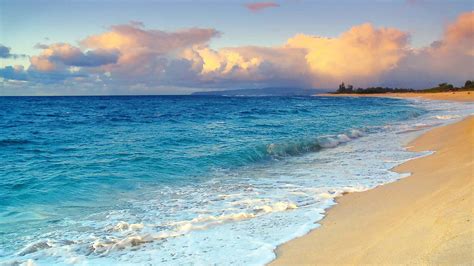 Bikini Backgrounds Wallpapers