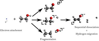 Fragmentation Dynamics And Absolute Dissociative Electron Attachment