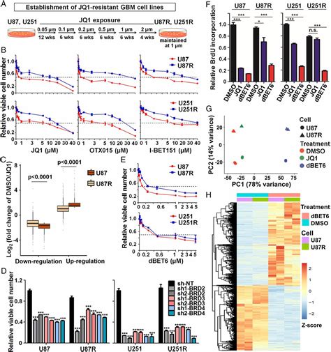 Targetable Bet Proteins And E2f1 Dependent Transcriptional Program