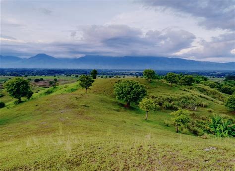 Mini Chocolate Hills in Umingan, Pangasinan | Good Info Net