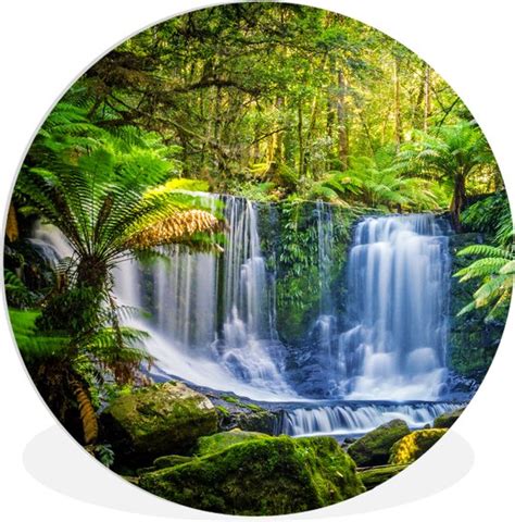 Wallcircle Wandcirkel X Jungle Waterval Australi Planten