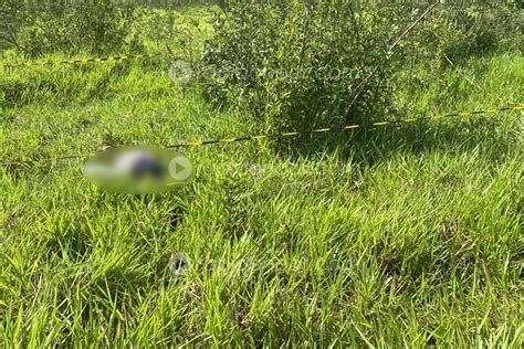 Pol Cia Identifica Adolescente Morto Na Zona Rural De Limeira R Pido