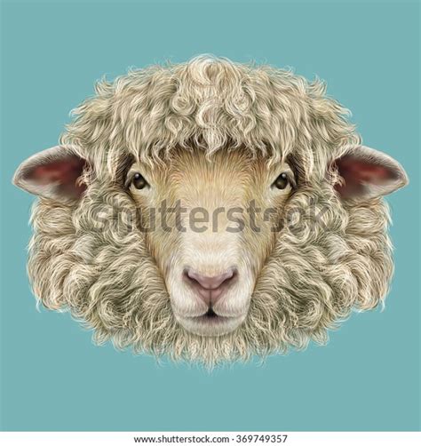 4,102 Lamb Face Drawing Images, Stock Photos, 3D objects, & Vectors ...