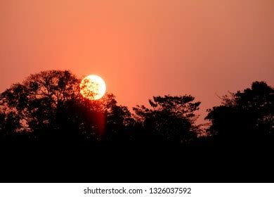 Silhouette Sunset Orange Sky Top Trees Stock Photo 1326037592 ...