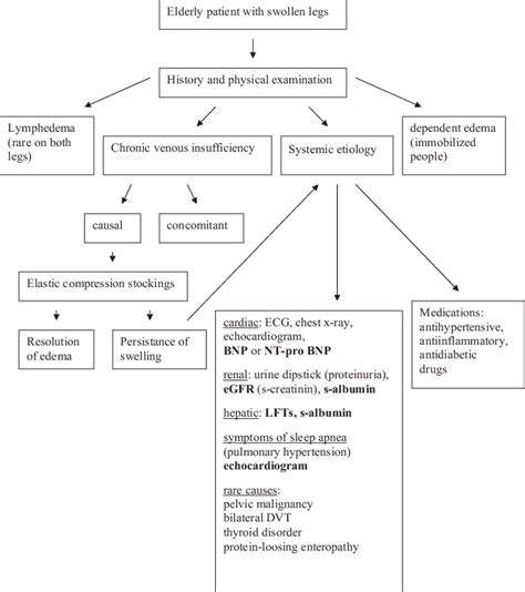 A Proposal For A Working Approach To The Diagnosis Of Bilateral Leg