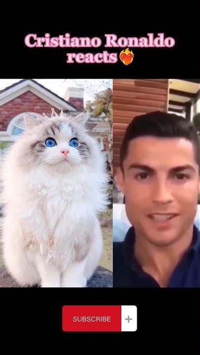 Cristiano Ronaldo Reacts🙀💯 ️‍🔥 Shorts Youtubeshorts Cr7 Cat Youtube