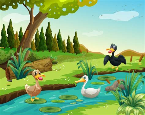 Scene With Ducks In The Pond Stock Vector Illustration Of Background