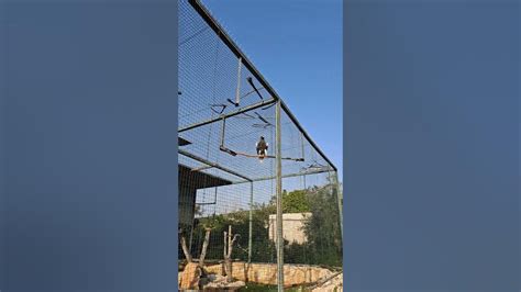 Paphos Zoo Youtube