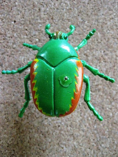 beetles ted     collection beetles   bush