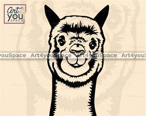 Lama Smiling Svg Png Dxf Clipart Cricut Project Download Vector Cut