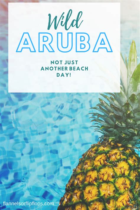 Aruba Vs Curacao Which Dutch Caribbean Island Is Right For You Artofit