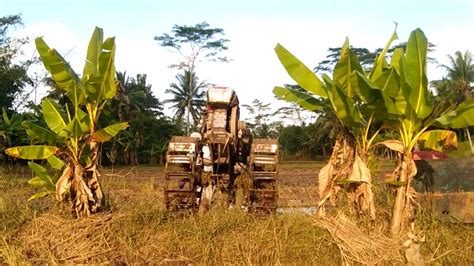 Traktor Quick Kubota Pindah Lahan Langsung Garap Di Sore Hari YouTube