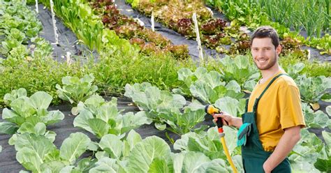 Comment Arroser Son Potager Pendant Les Vacances Solutions Pratiques