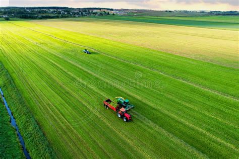 Forage Harvester During Grass Cutting For Silage In Field Harvesting