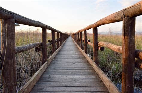 Free Images Nature Boardwalk Wood Walkway Reeds Infinite Wooden