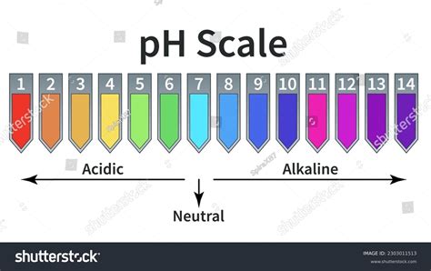 Acid-base balance level. PH scale. Paper - Royalty Free Stock Vector ...