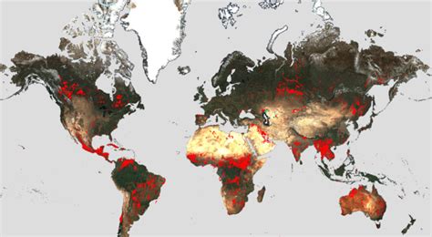 Mapa de incendios forestales en España seguimiento en tiempo real