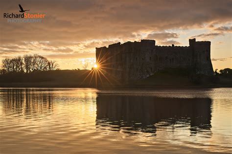 Showcase - Carew Castle 14 - Birds Online | Website of photographer Richard Stonier