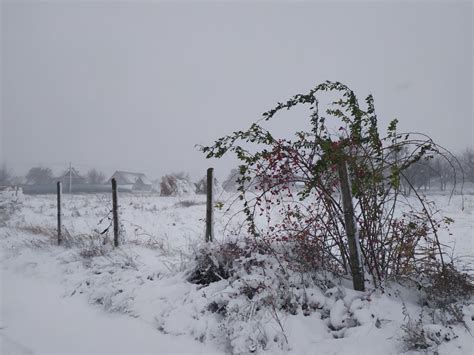 Meteorologii Anun Cod Galben De V Nt Puternic N Toat Ara P N