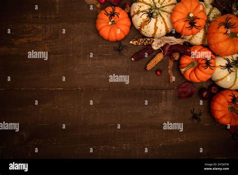 Halloween Themed Composition With Copy Space Pumpkins Spiders Corn On Dark Rustic Wooden