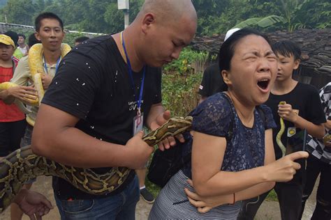 福建百蛇游街，美女被巨蟒撕咬，却被劝告“会交好运”