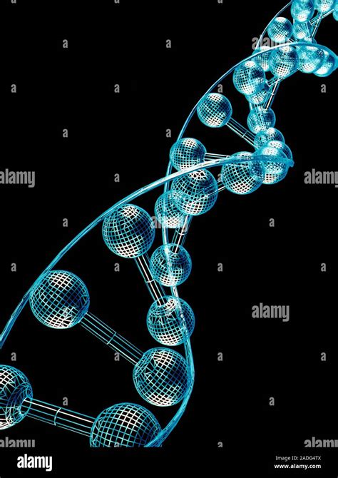 Dna Molecule Wire Frame Computer Artwork Of Part Of A Strand Of Dna