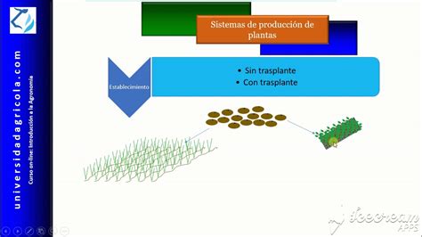 Video 5 Sistemas de producción de plantas YouTube