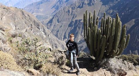 Qu Ver En El Ca N Del Colca Y C Mo Visitar El Ca N Desde Arequipa