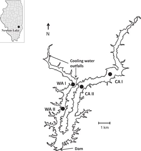Depiction Of Newton Lake Jasper County Illinois Wa 5 Warm Arm Download Scientific
