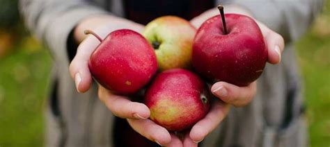 Razones Para Comer Una Manzana Al D A Y Recetas