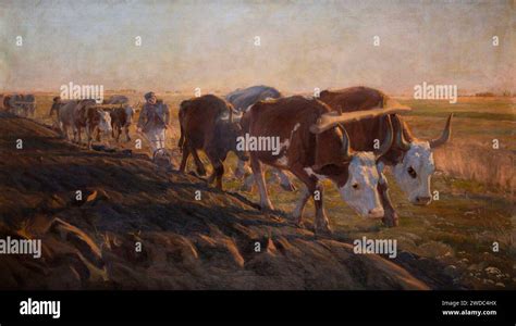 Kazimierz Lasocki - Orka na Wołyniu Stock Photo - Alamy 