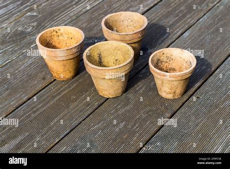 plant pots    garden stock photo alamy