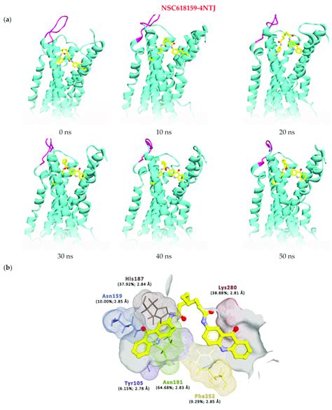 A Snapshots Of The 50 Ns Molecular Dynamics Simulation Of NSC618159