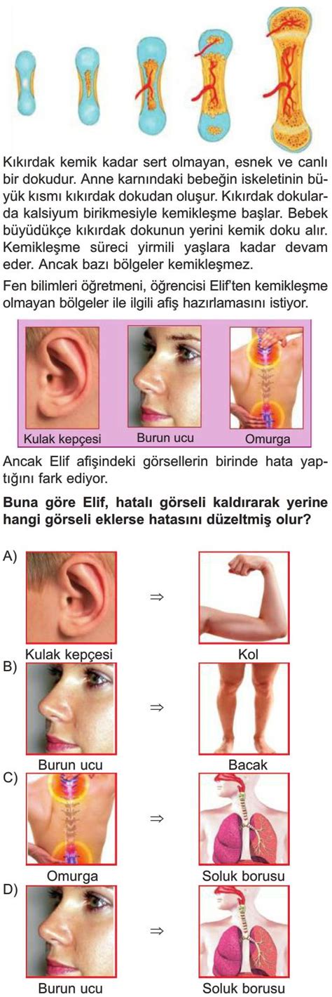 V Cudumuzdaki Sistemler Test Z S N F Fen Bilimleri