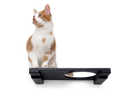 Cat Escape Hatch Shelf 18 Inch Cat Wall Mounted Shelf Cat Etsy