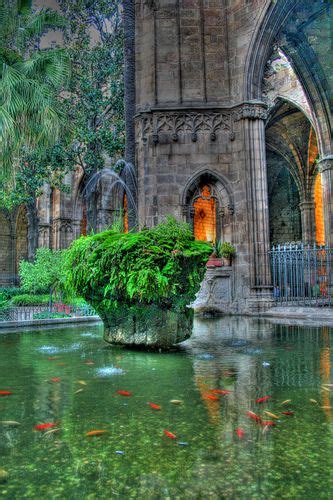 Catedral de Barcelona, cloister | Places to travel, Places to visit, Barcelona travel